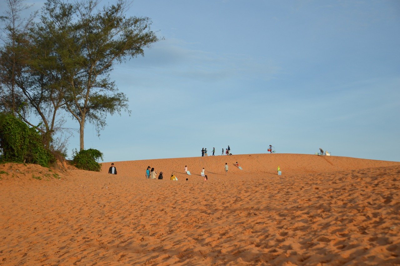 vietnam desert