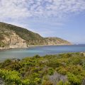 calvi camping